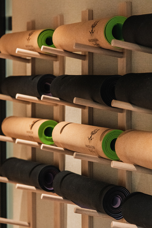 joga-dla-poczatkujących-zajecia-od-podstaw-mandragora-yaga-joga-lublin